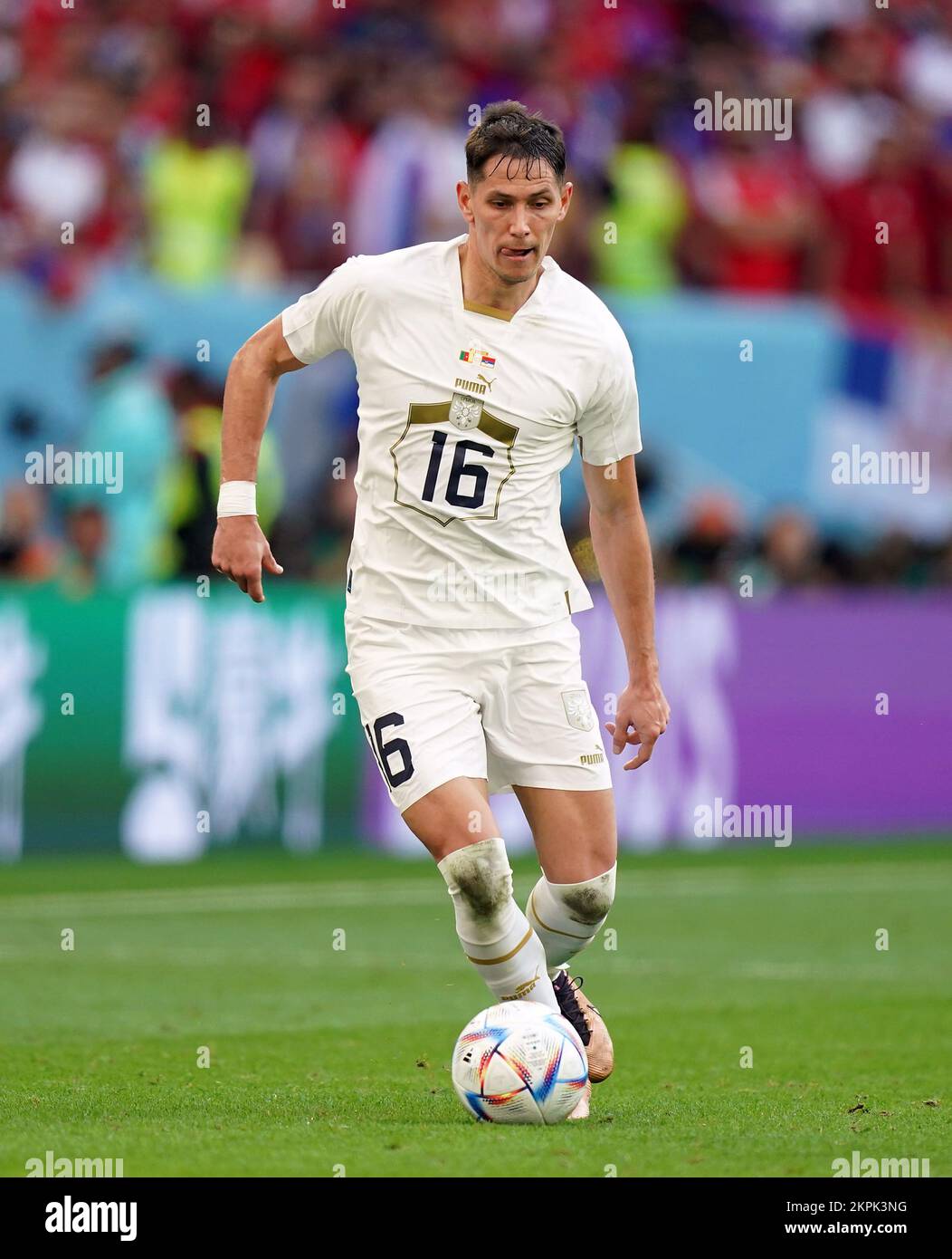 Serbia’s Sasa Lukic during the FIFA World Cup Group G match at the Al Janoub Stadium in Al Wakrah, Qatar. Picture date: Monday November 28, 2022. Stock Photo