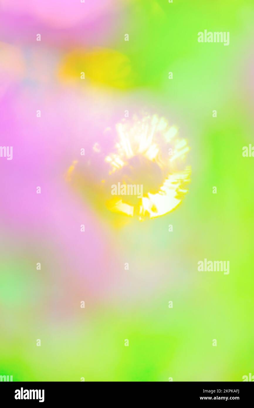 Green grass wild meadow blurred bio backgrounds. Amazing green plants