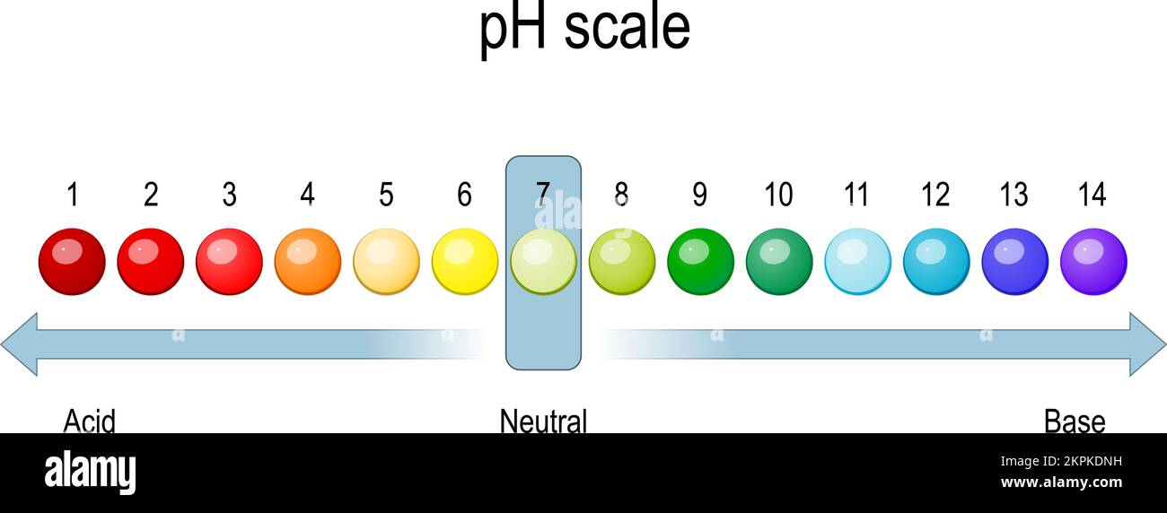 ph scale. chart of pH value for acid and alkaline solutions. acid-base balance. infographic, vector illustration Stock Vector