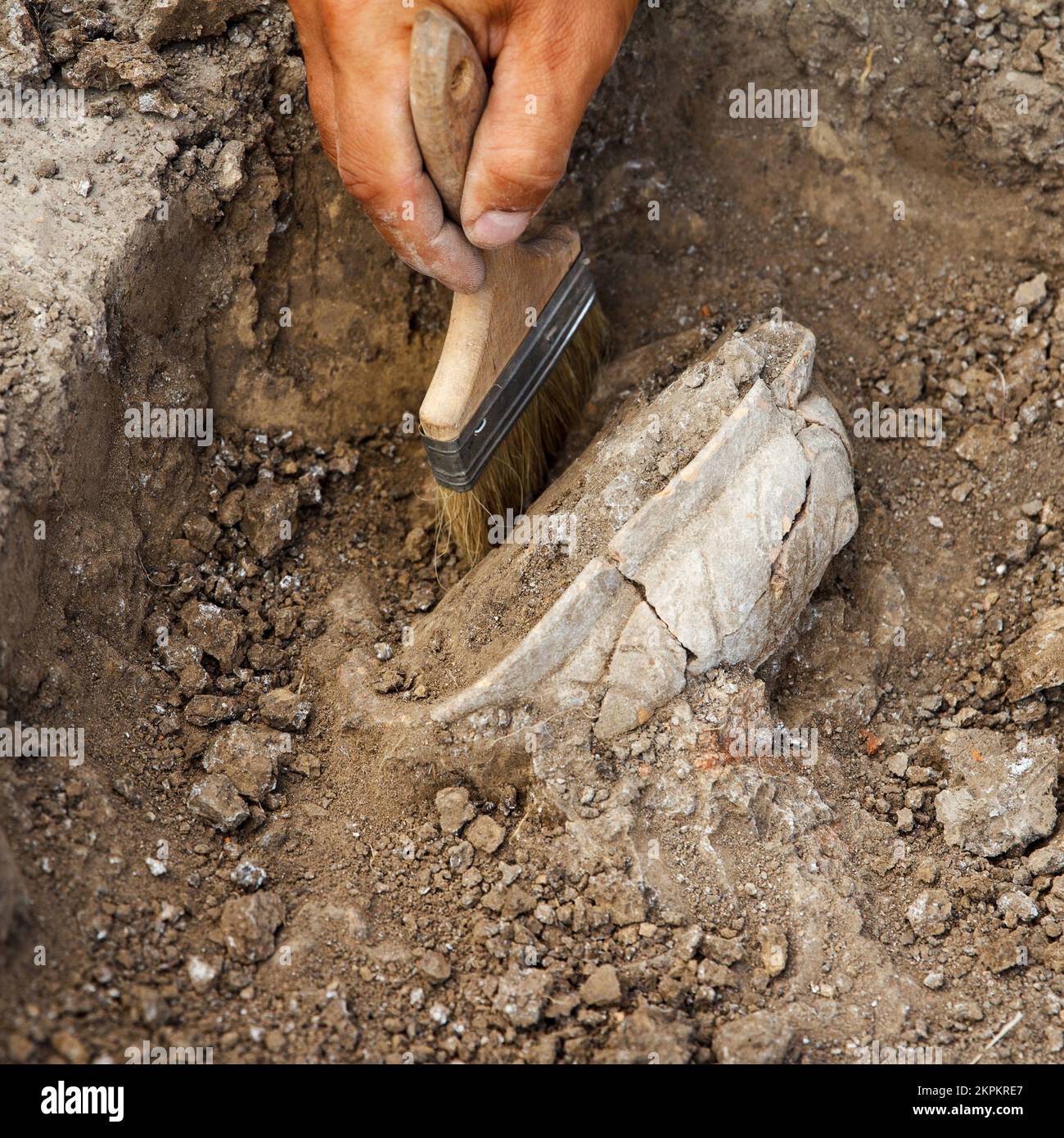 Professional Archaeological excavations, archaeologists work, dig up an ancient clay artifact with special tools in soil Stock Photo
