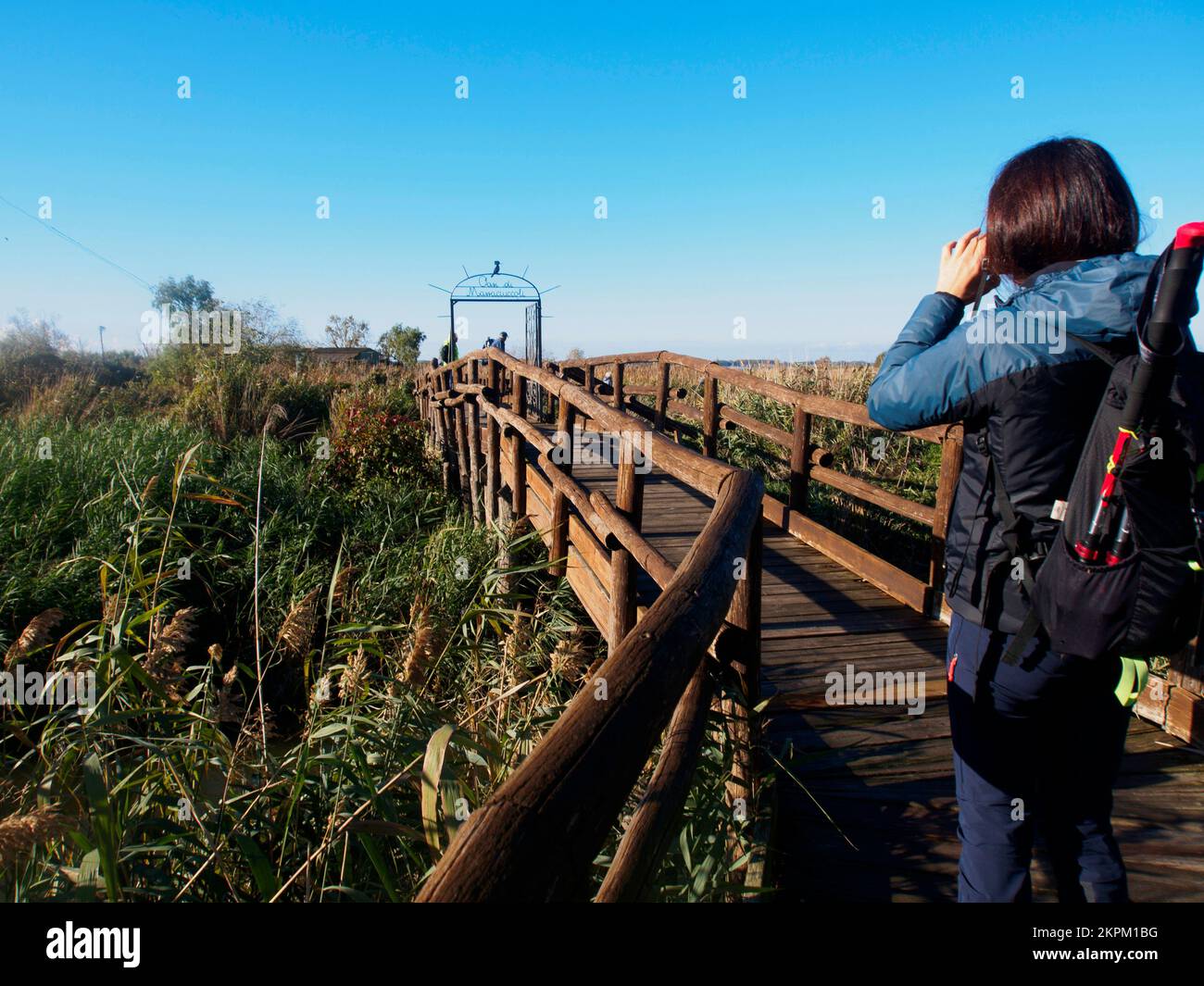 Oasis of lake massaciuccoli hi-res stock photography and images - Alamy