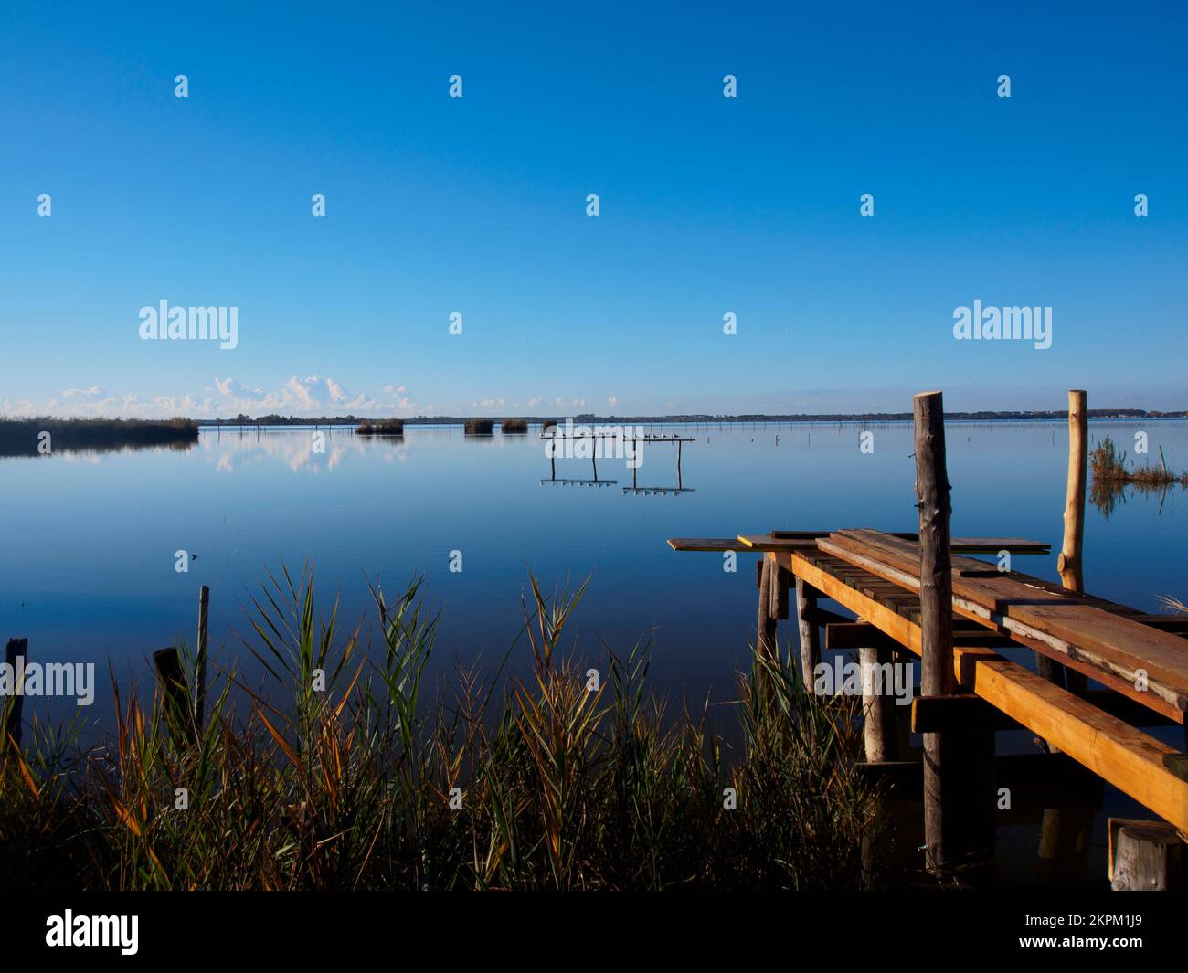 Oasis of lake massaciuccoli hi-res stock photography and images - Alamy