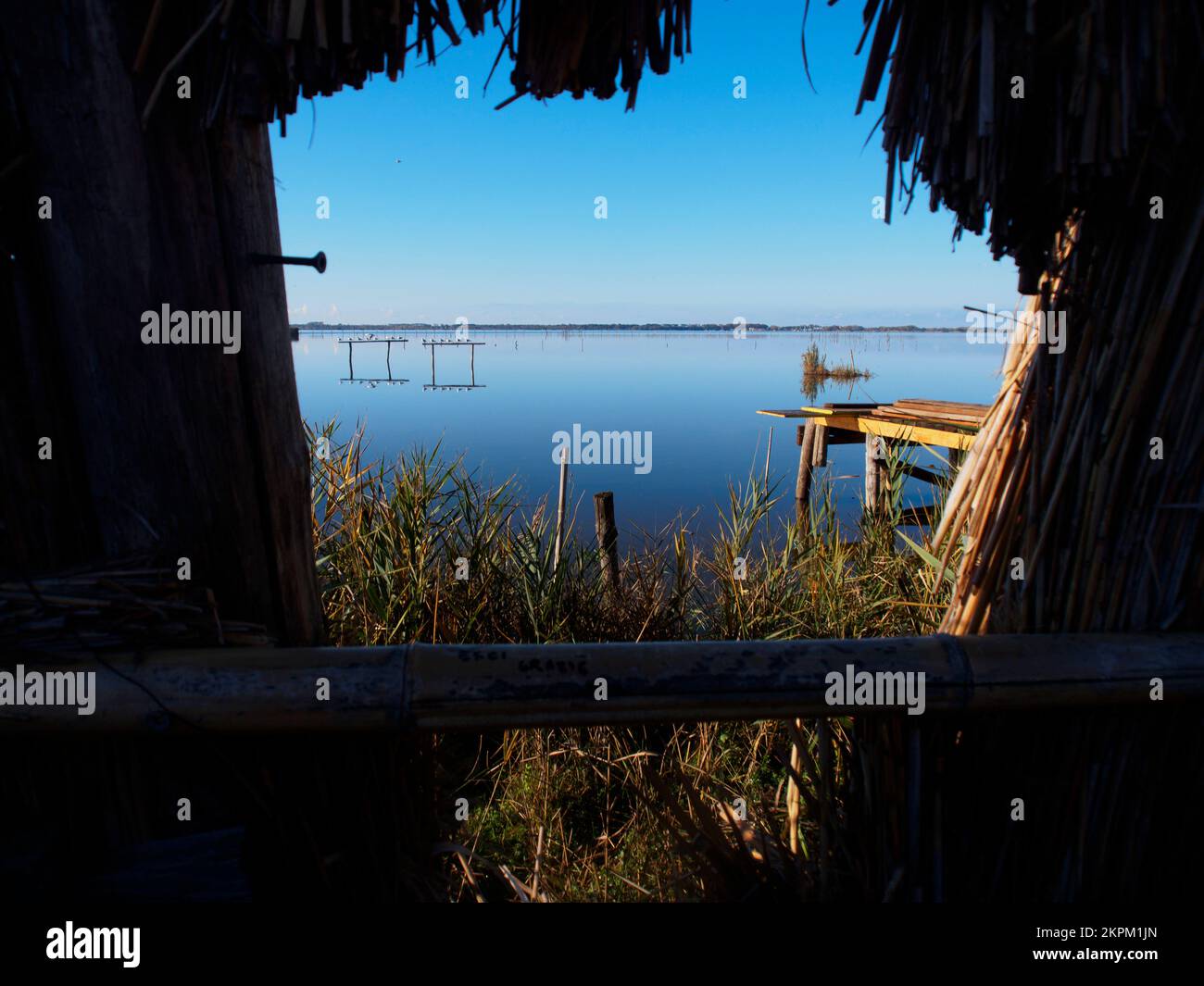 Oasis of lake massaciuccoli hi-res stock photography and images - Alamy