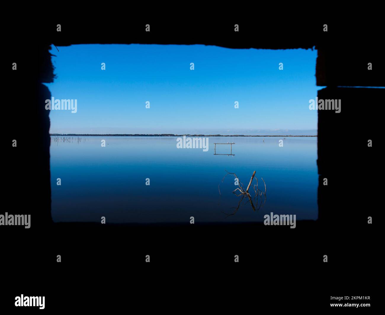 Oasis of lake massaciuccoli hi-res stock photography and images - Alamy