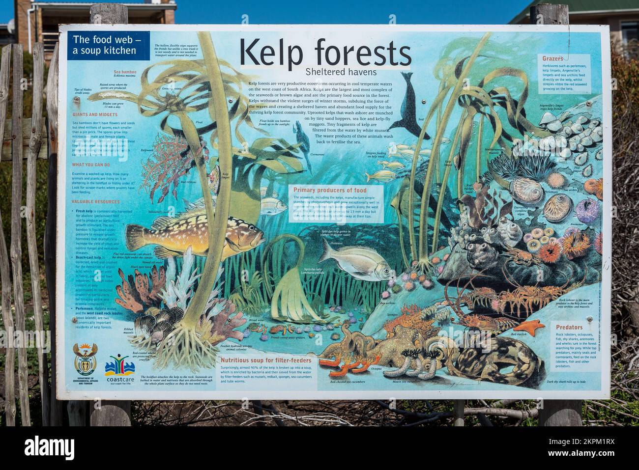 Bettys Bay, South Africa - Sep 20, 2022: Information board for kelp forests at Stony Point Nature Reserve in Bettys Bay. Stock Photo