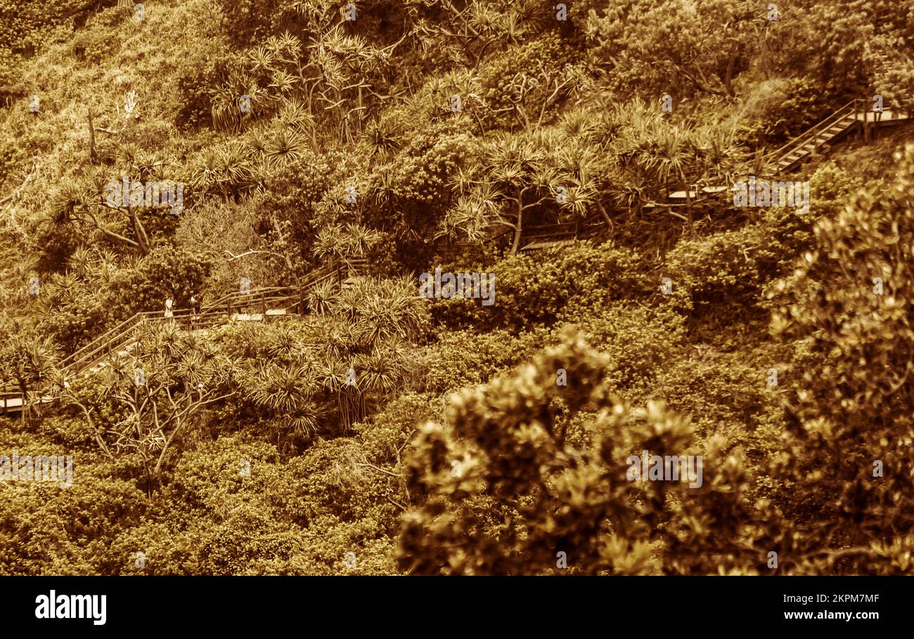 Muted landscape art on a stairwell leading through tropical island