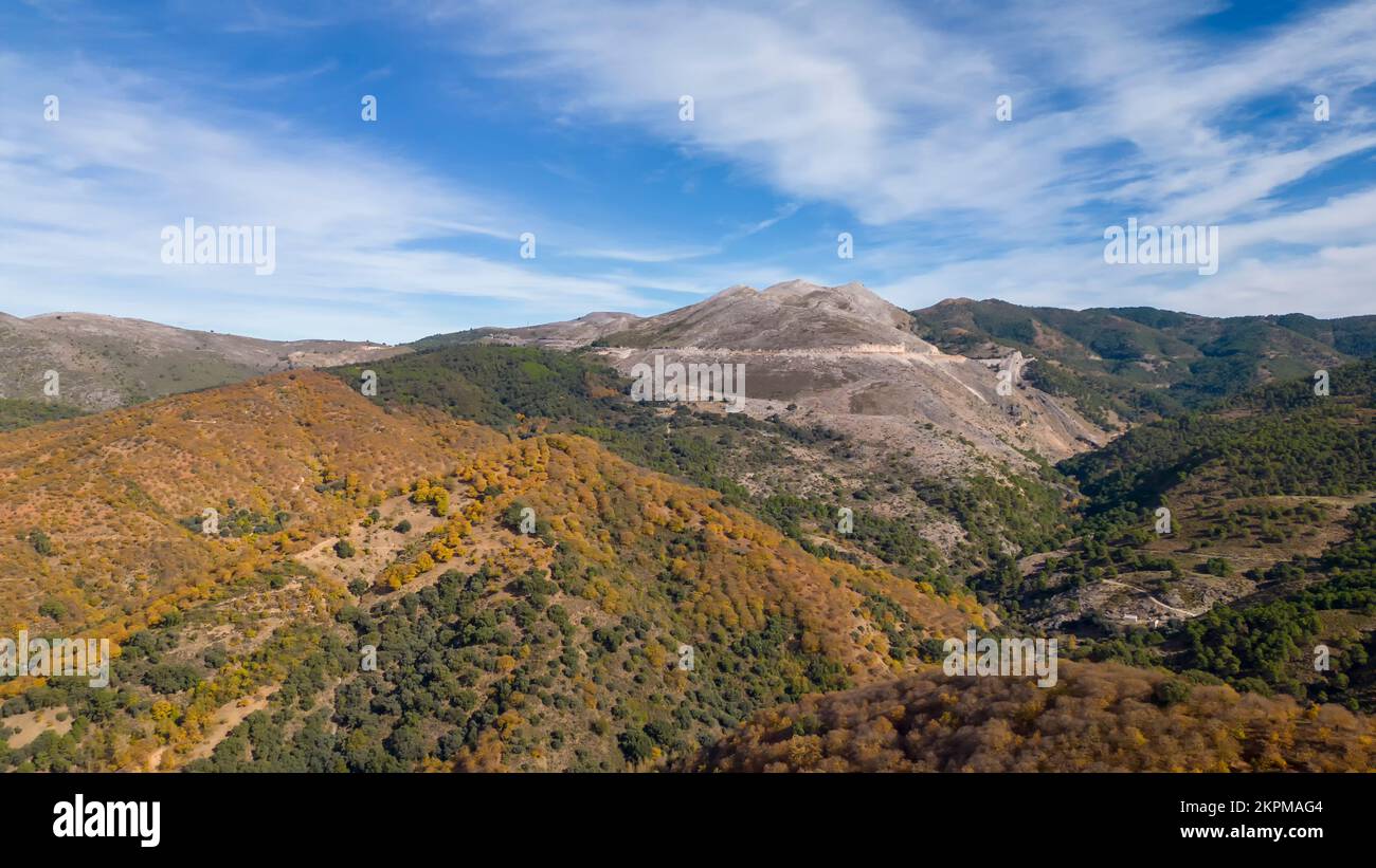 Panoramic view of the lush copper forest in the Genal valley, Andalusia Stock Photo