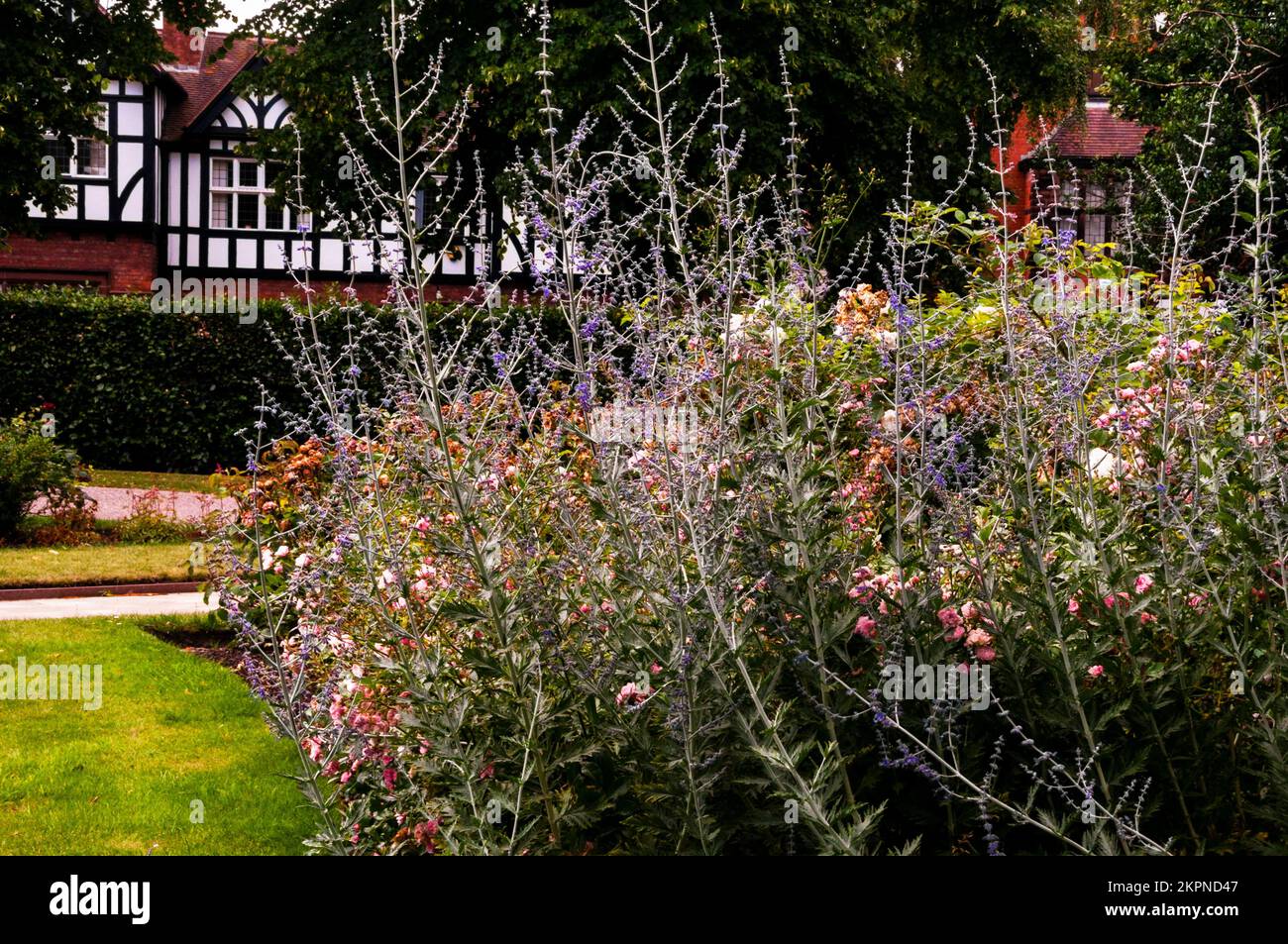 English tudor revival architecture hi-res stock photography and images ...