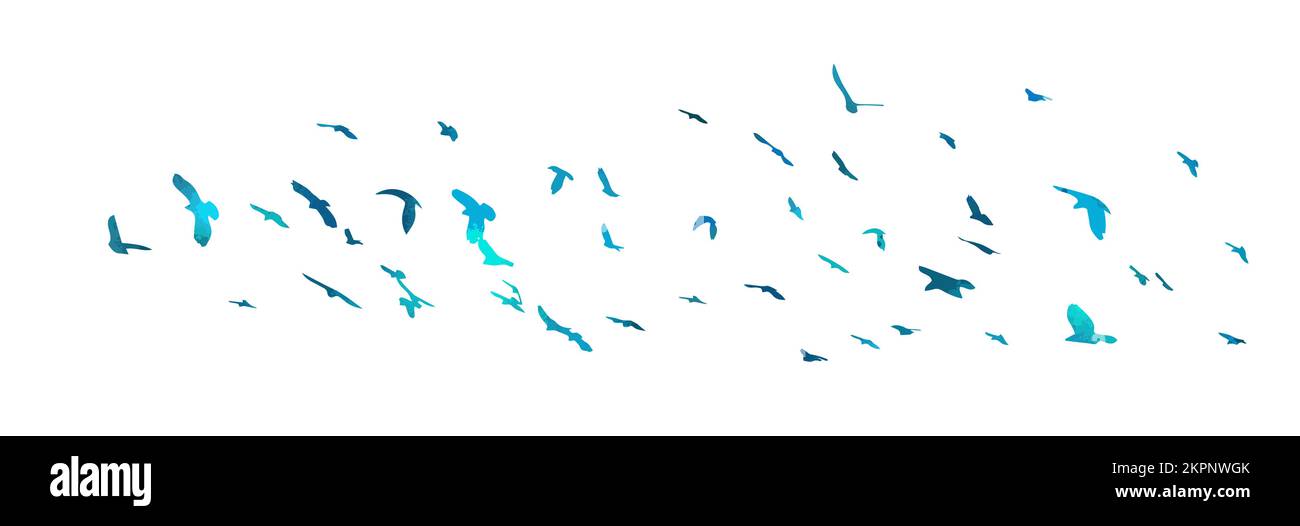 Bird watercolor. A flock of colorful birds. Mixed media. Vector ...