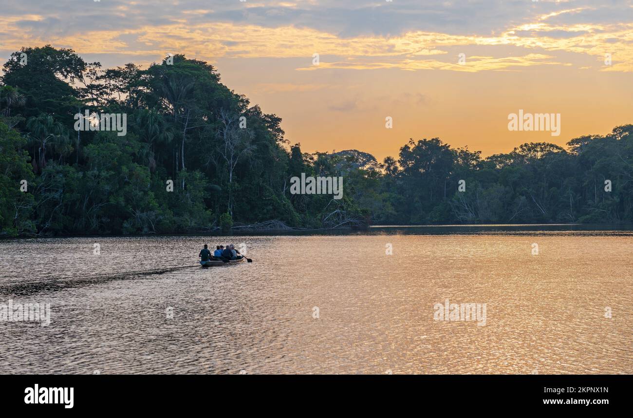 Canoe with tourists leaving at sunrise for an Amazon rainforest bird watching excursion, Yasuni national park, Ecuador. Stock Photo