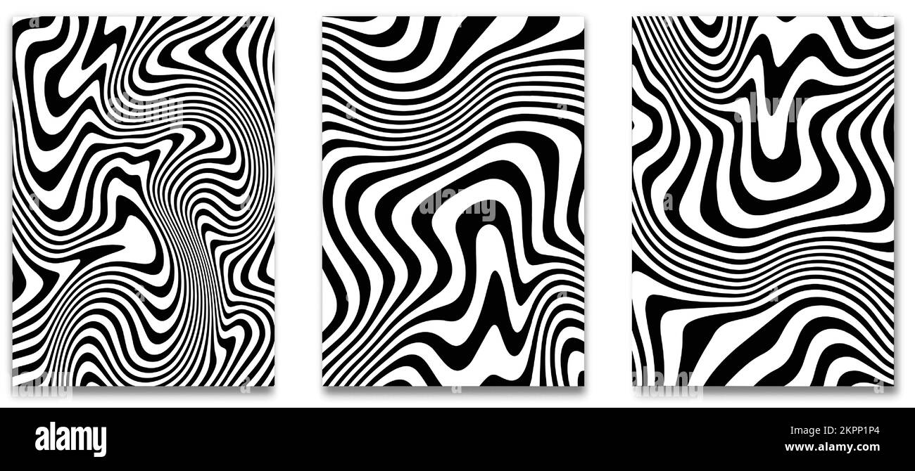 Abstract Zebra Patterns An illustration of three paintings with zebra patterns on them isolated ...