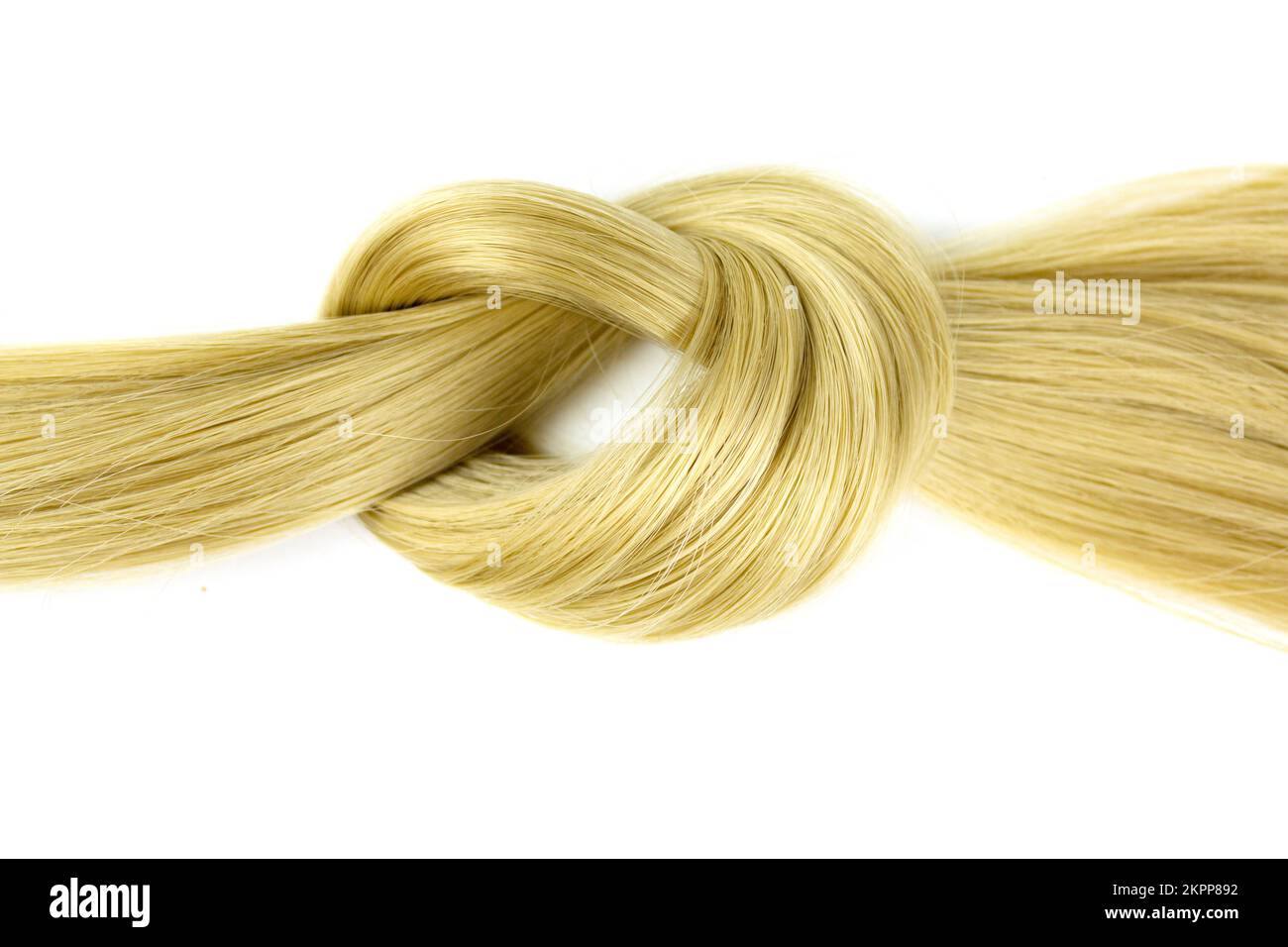 Blonde hair lock tied in knot. Lock of blonde wavy hair on white background, top view Stock Photo