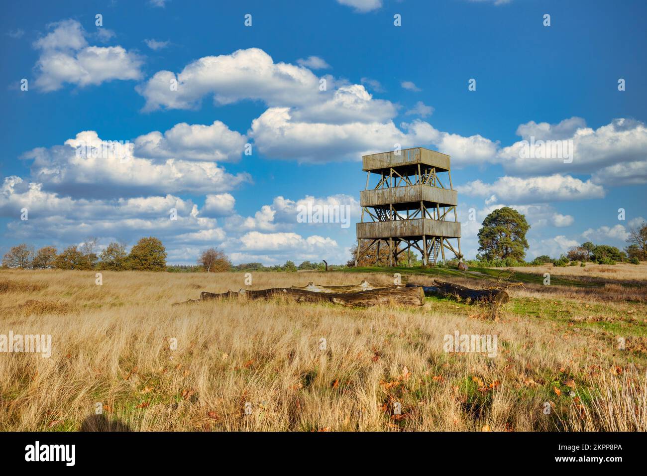 Publicly accessible lookout tower in Het Aekingerzand part of the Nationaal Park Drents-Friese Wold with a view over the sand drifts called the Kale D Stock Photo