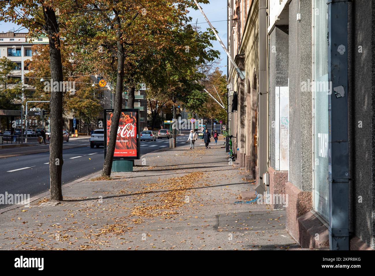 Fallen leaves on Mannerheimintie sidewalk in Taka-Töölö district of Helsinki, Finland Stock Photo