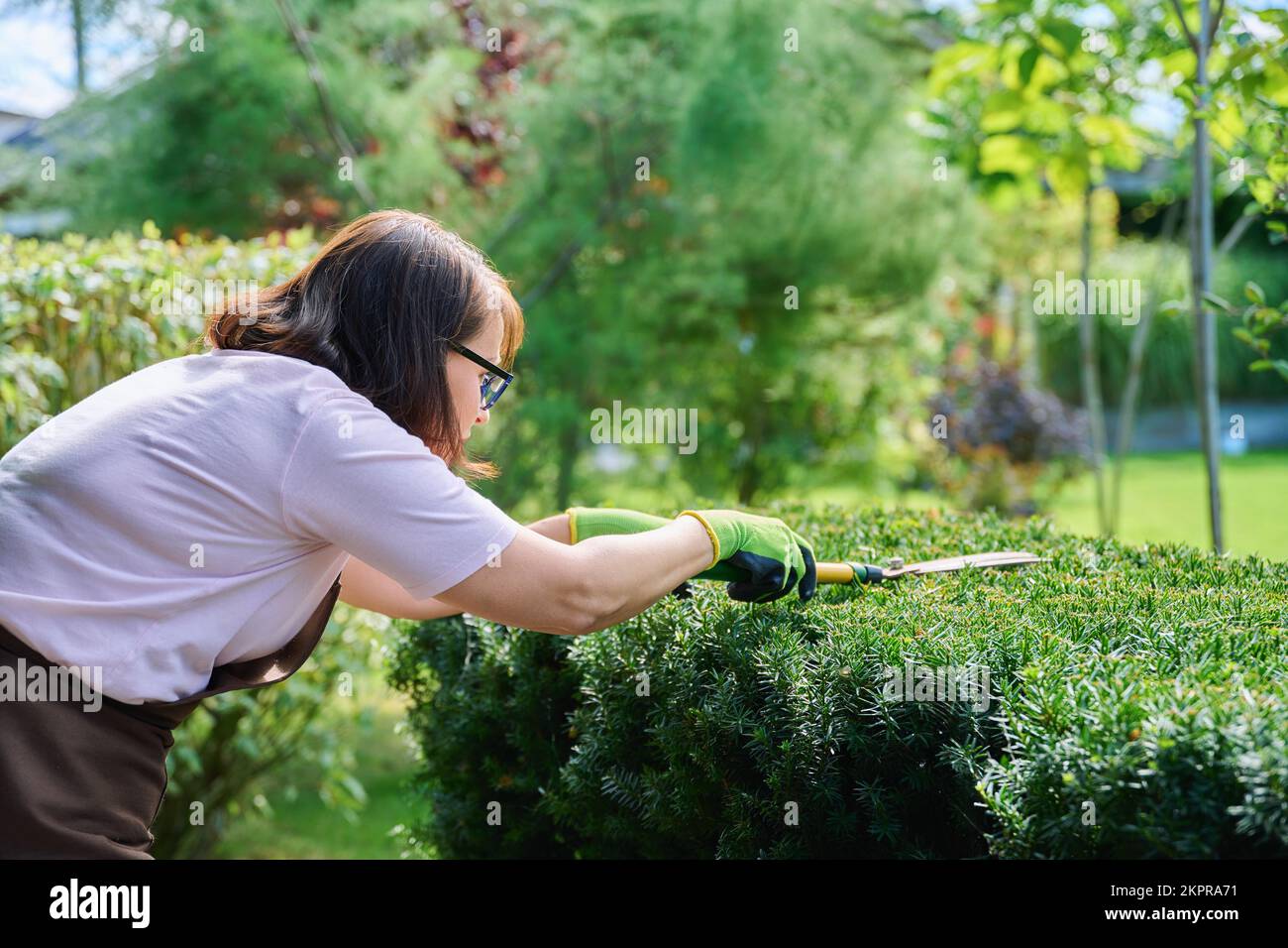 woman-gardener-trimming-bushes-hi-res-stock-photography-and-images-alamy