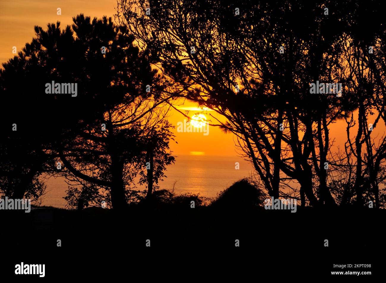 Sunset over the sea with trees silhouetted in the foreground.Late summer near St Agnes in Cornwall.England. UK. Great Britain Stock Photo