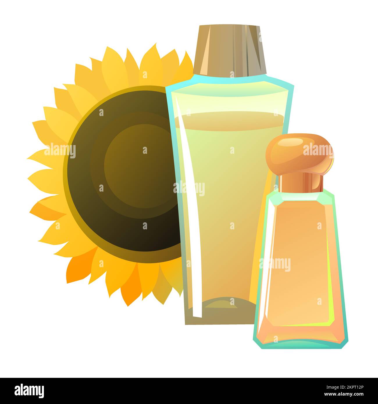 Objects natural sunflower oils. Still life. Extracted from nuts and