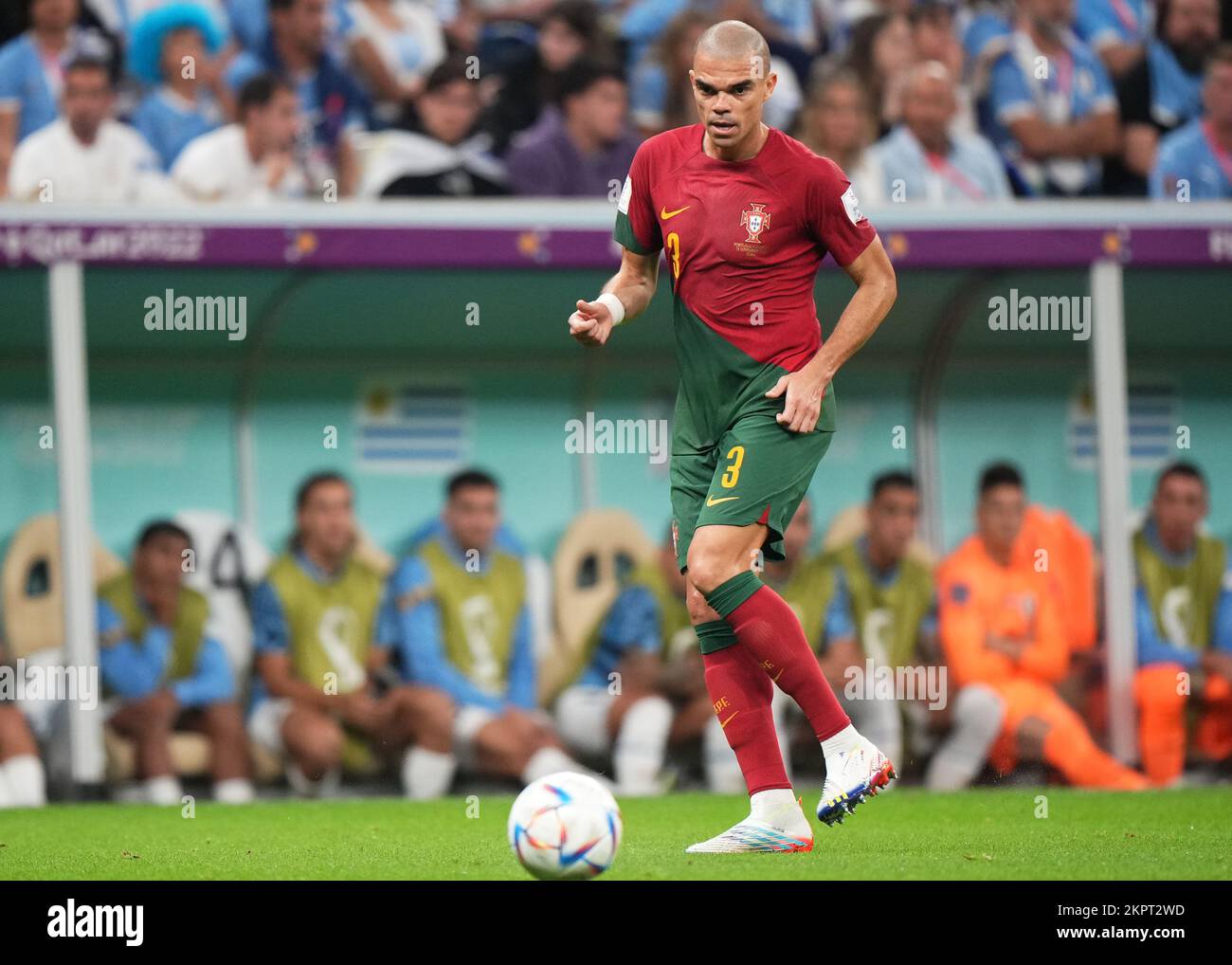 Pepe of Portugal during the FIFA World Cup, Qatar. , . in Lusail, Qatar. (Photo by Bagu Blanco/PRESSIN) Credit: PRESSINPHOTO SPORTS AGENCY/Alamy Live News Stock Photo