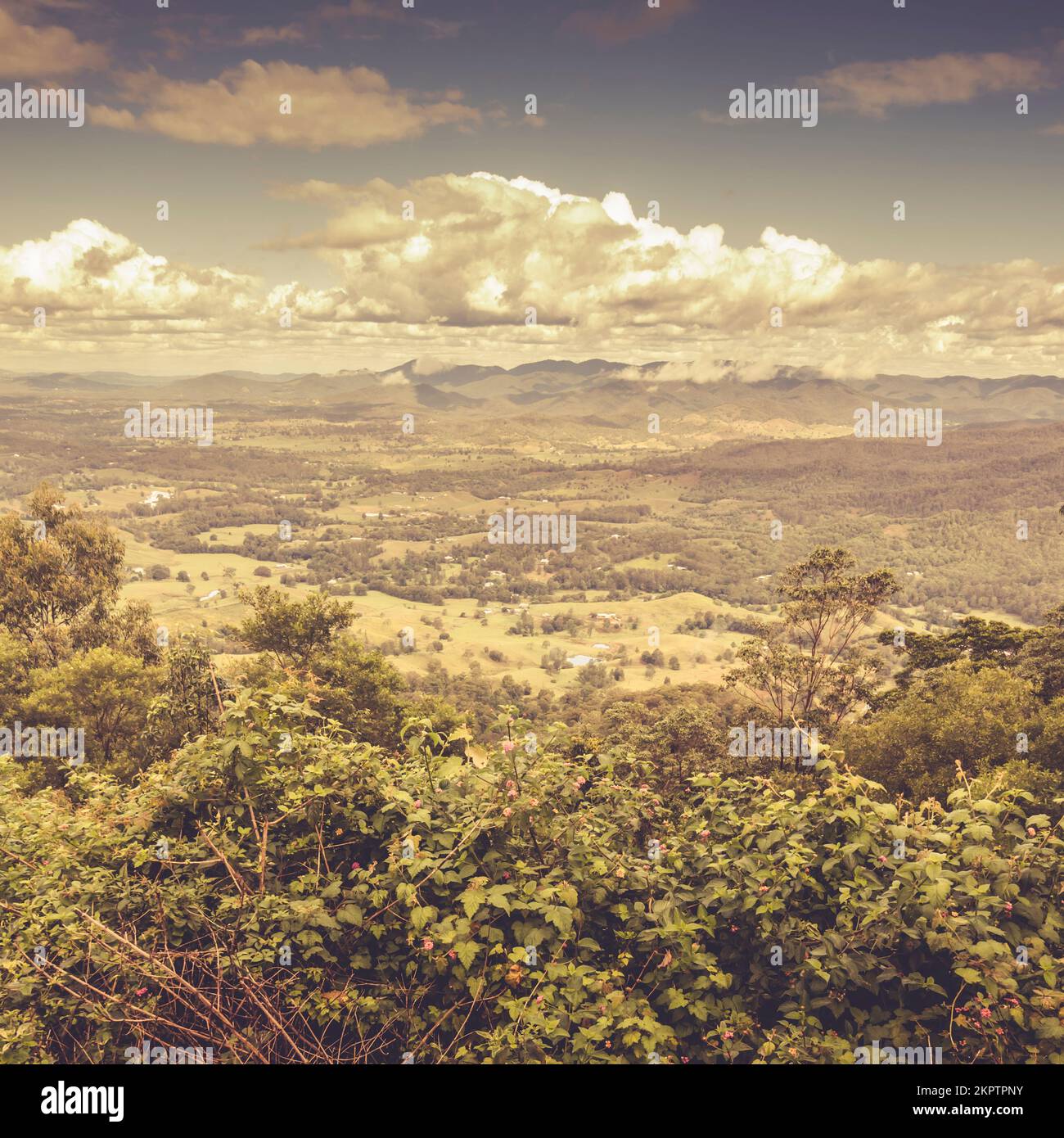 Square landscape views on green vegetation before a pastel farm