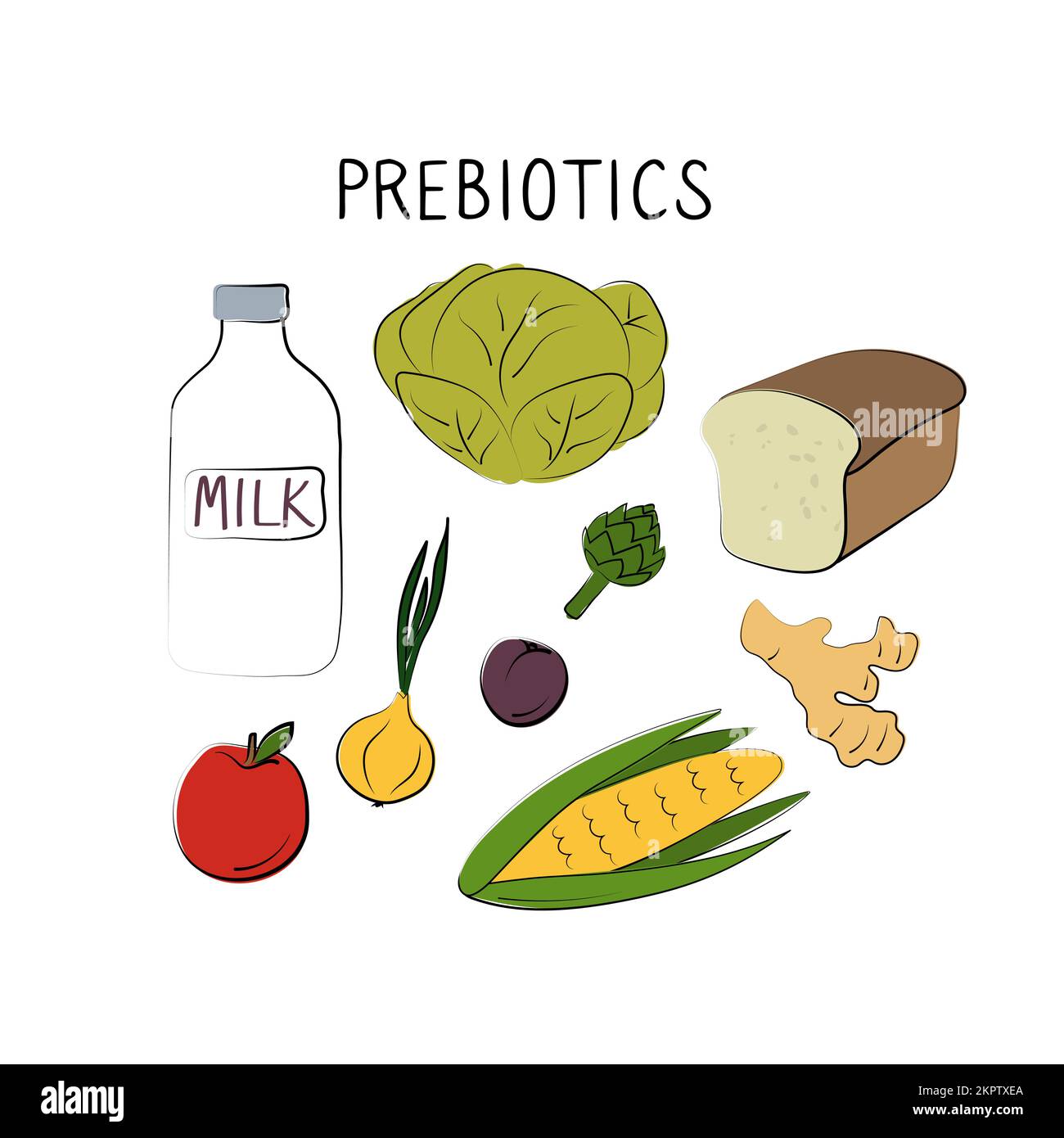 Prebiotics-containing Food. Groups Of Healthy Products Containing ...