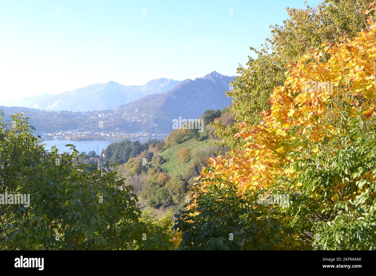 Beautiful autumn landscape in the mountains with trees in the foreground and multi profile of hill lines. Blur of the mountains and lake in background Stock Photo