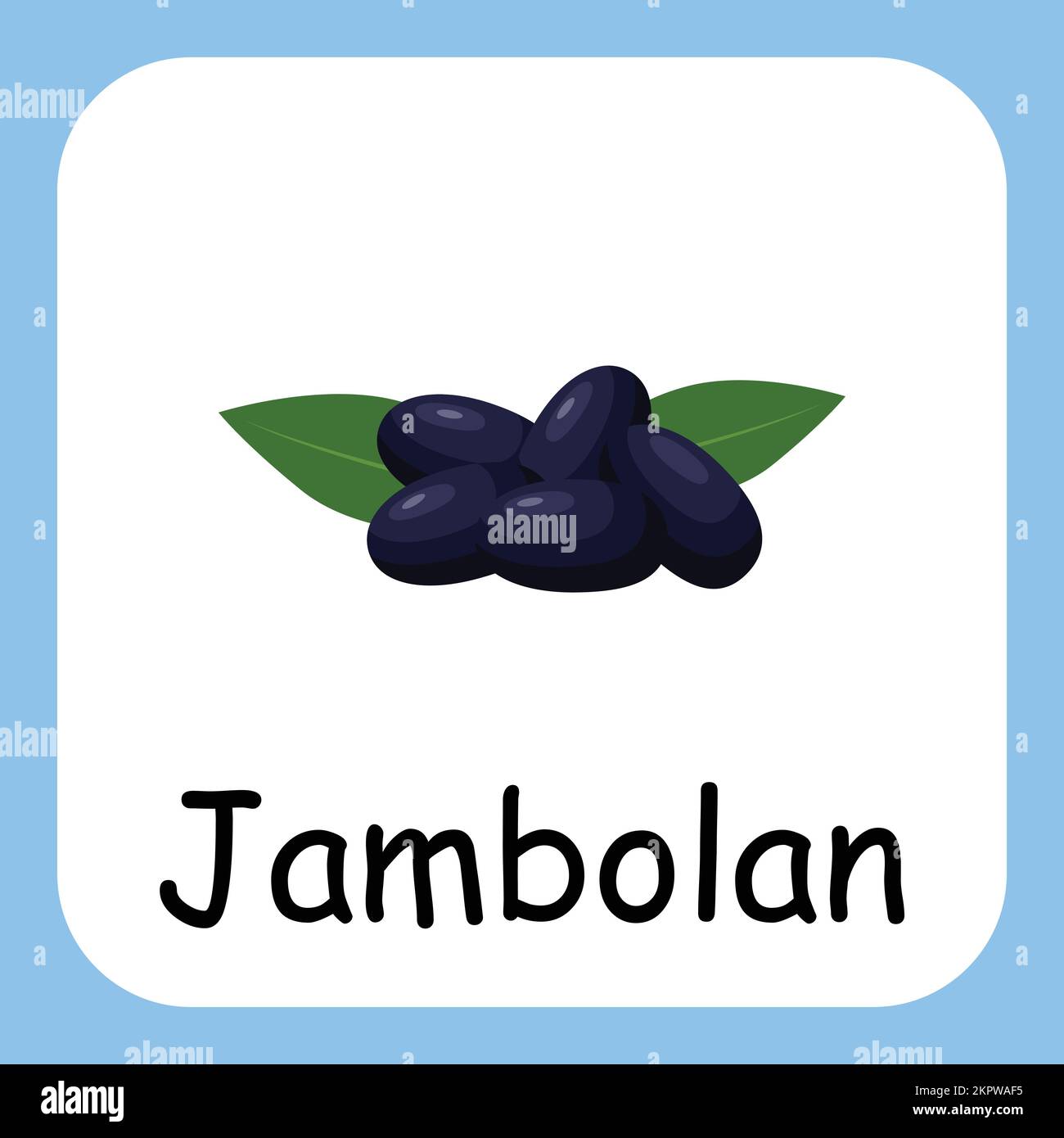 Jambolan fruit hi-res stock photography and images - Alamy, image size:1300x1390