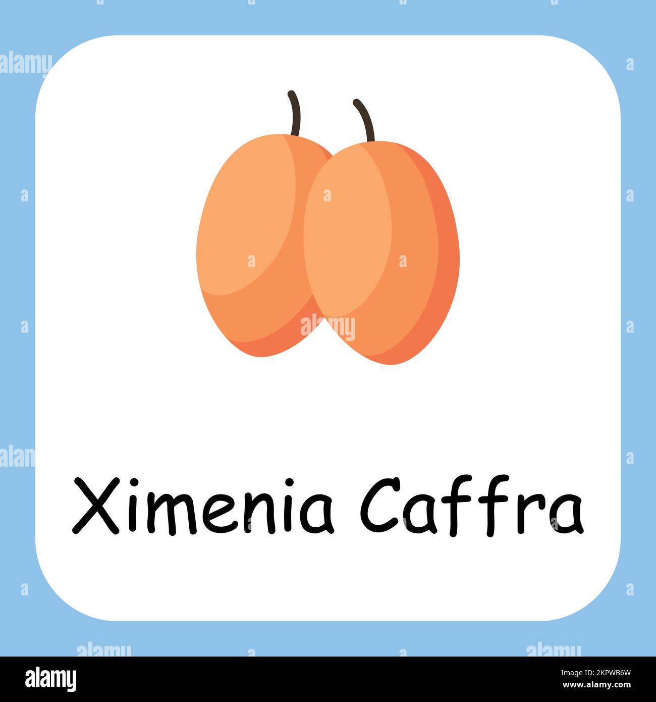 Ximenia caffra Clip Art, Illustration for Kids, Cartoon Fruits Illustration Stock Vector