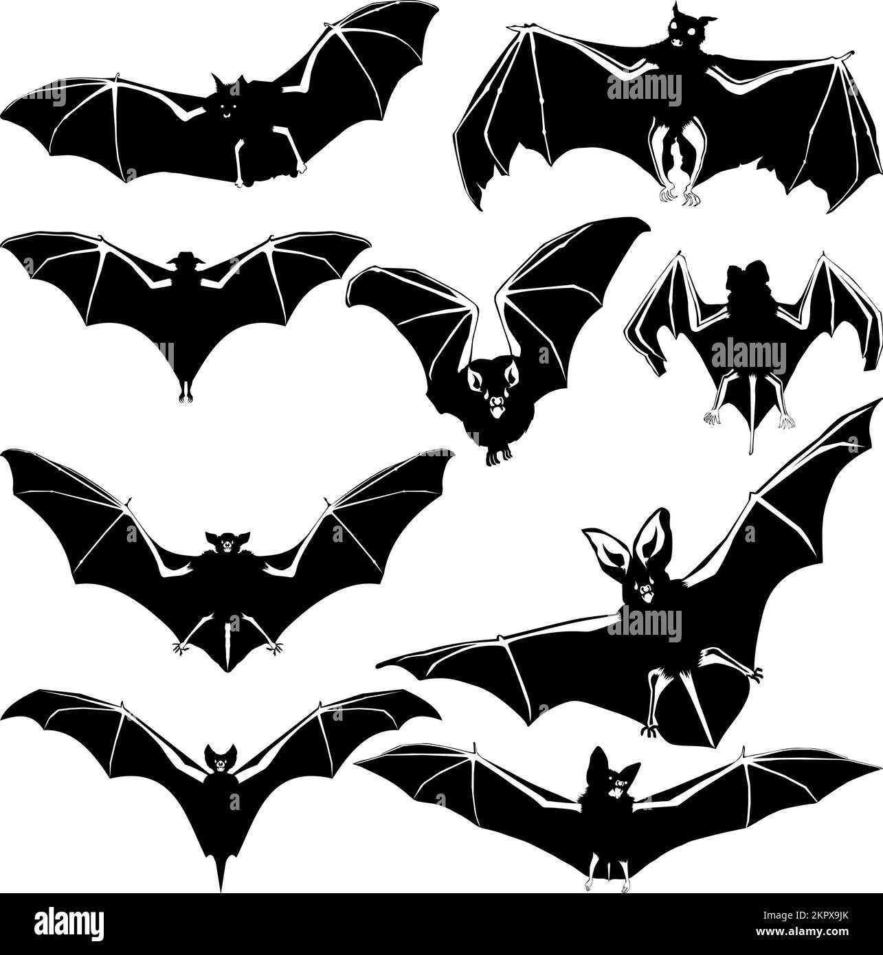 Silhouettes of bats set on white background, Vector set of bats on an