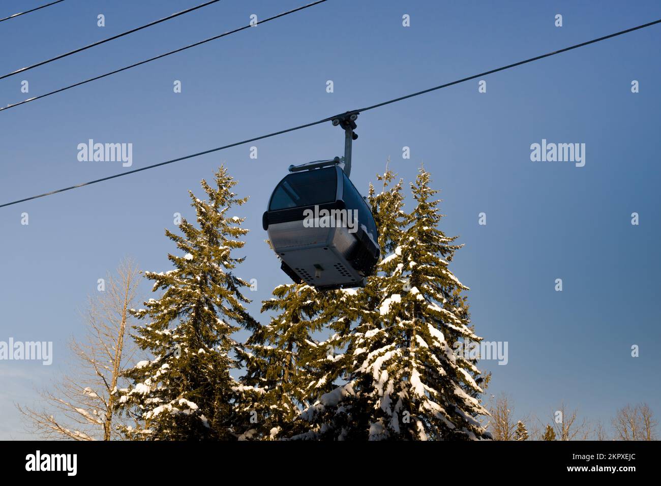 Ski Resort Winter Season Sky Gondola Ski Lift Snowboarding Sunny Day Pure Snow Forest