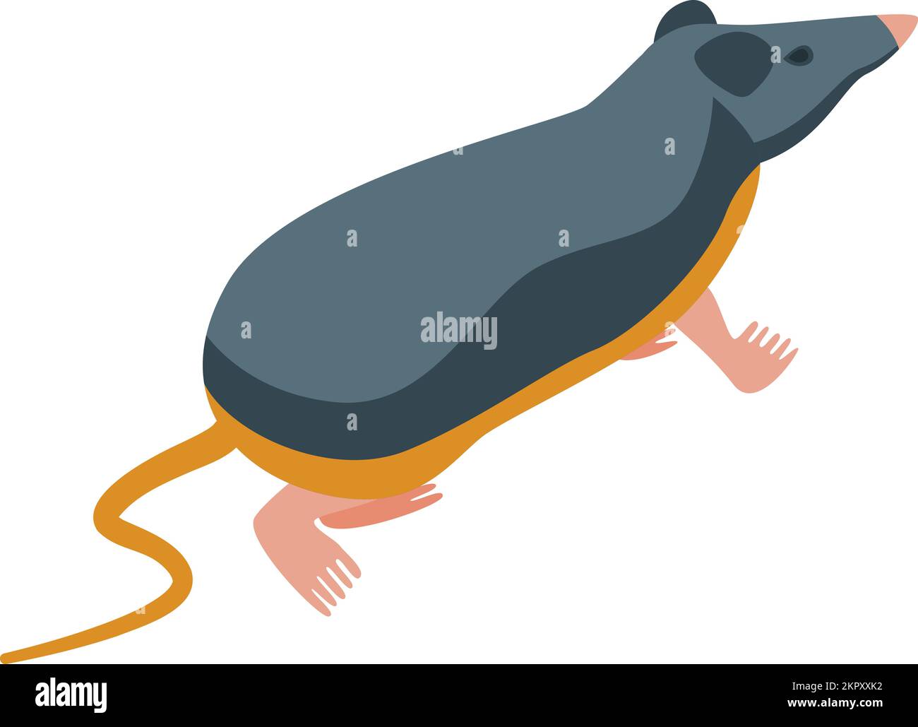African mole rat Stock Vector Images - Alamy