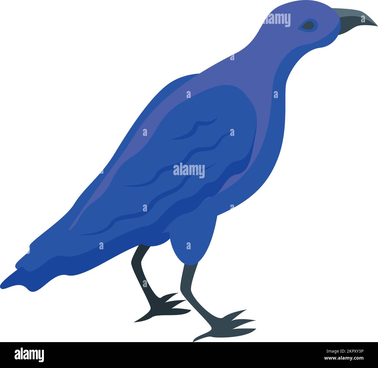 Blue crow icon isometric vector. Raven bird. Fly nature Stock Vector