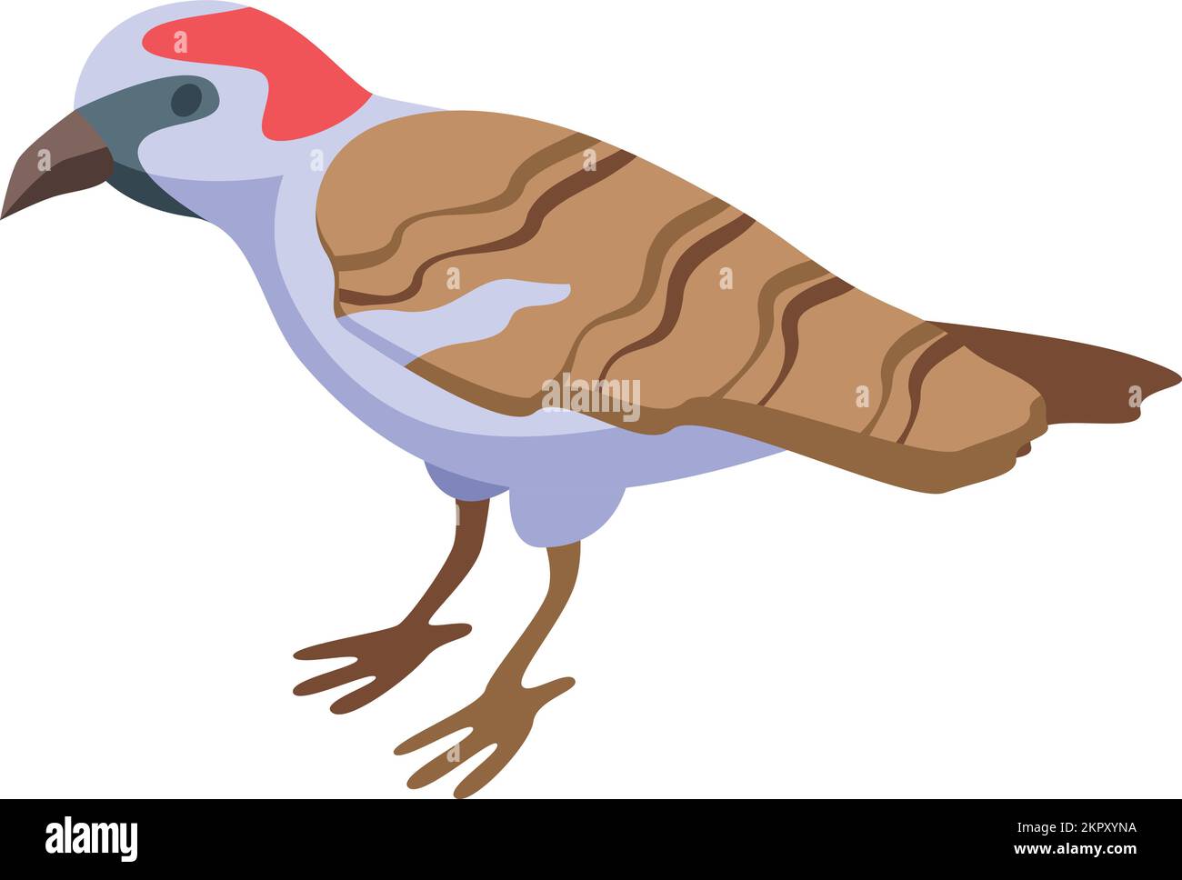 Nature sparrow icon isometric vector. Bird house. Male bird Stock Vector