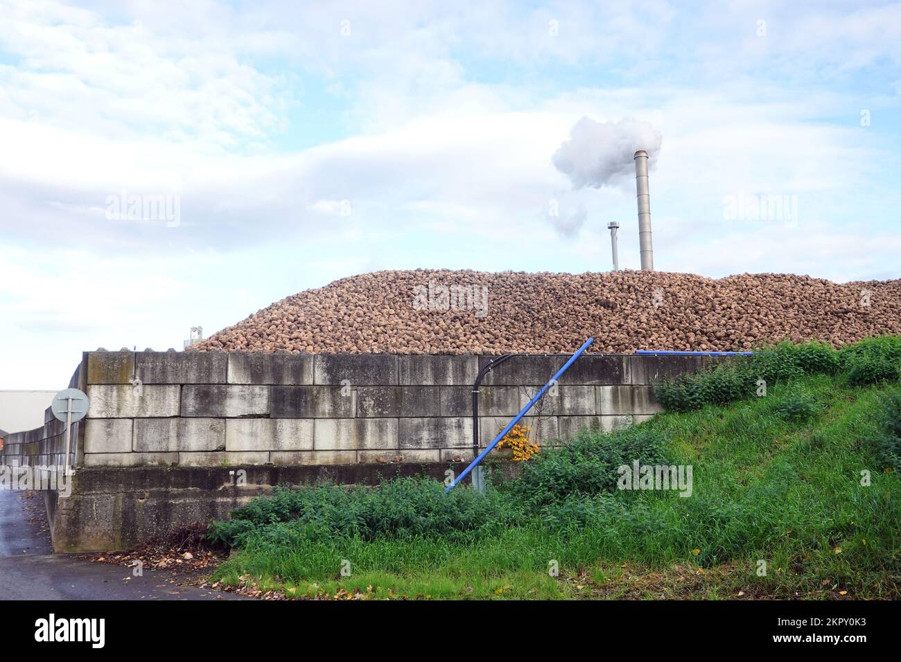 Berg aus Zuckerrüben in der Zuckerfabrik, Nordrhein-Westfalen, Deutschland, Euskirchen Stock Photo