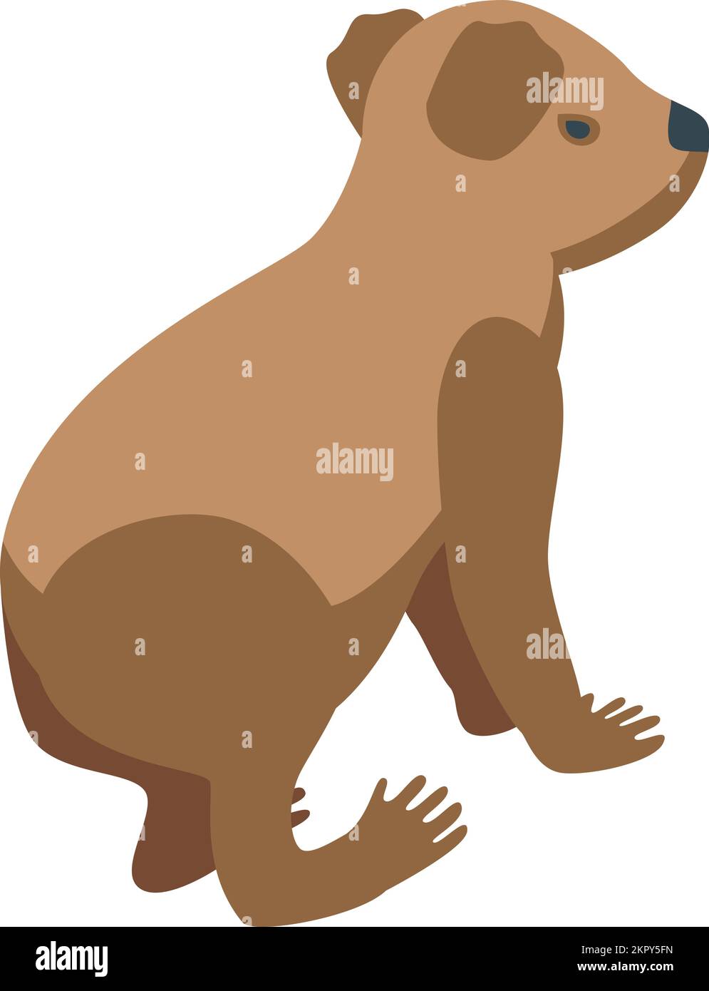 Brown koala icon isometric vector. Cute bear. Tree animal Stock Vector