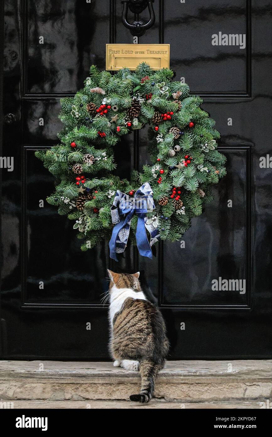 London, UK. 28th Nov, 2022. Larry the Cat, resident feline and Chief Mouser of the governemt, sits and waits patiently at the door to No 10 Downing Street under a pretty Christmas wreath. The Downing Christmas decorations have gone up this week and the Tree is being lit by Rishi Sunak this evening. Credit: Imageplotter/Alamy Live News Stock Photo