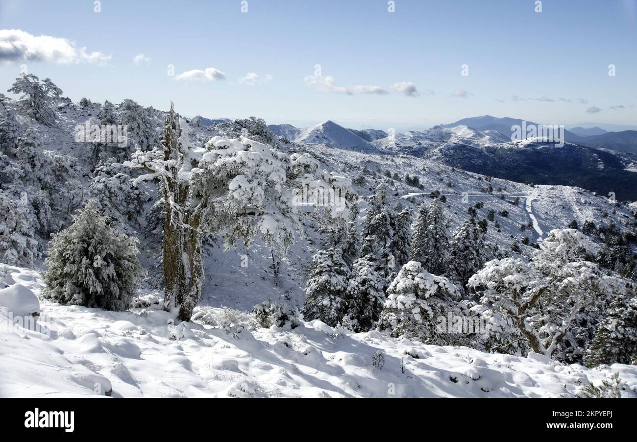 parque nacional sierra de las nieves