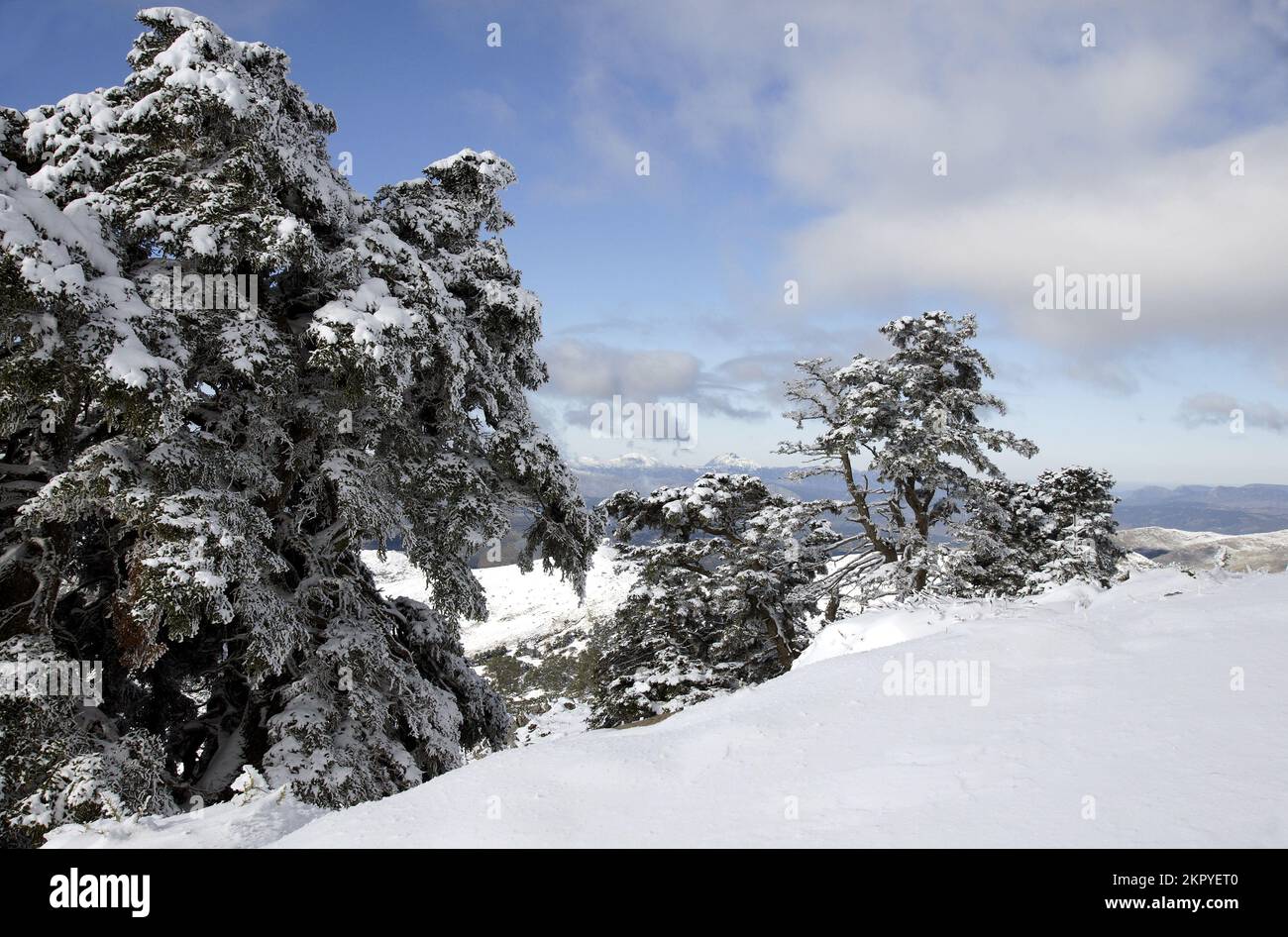 Parque nacional sierra de las nievesparque nacional sierra de las hi