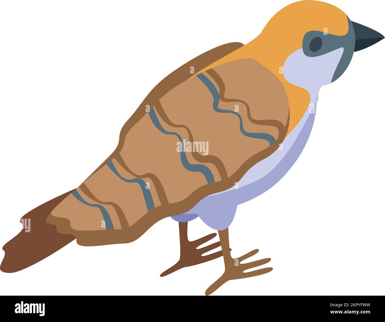 Front sparrow icon isometric vector. Bird house. Small wild Stock Vector