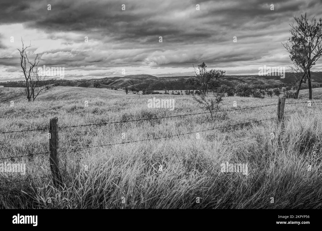 Regional ranching landscaped in a greyed out vista of rolling hills and