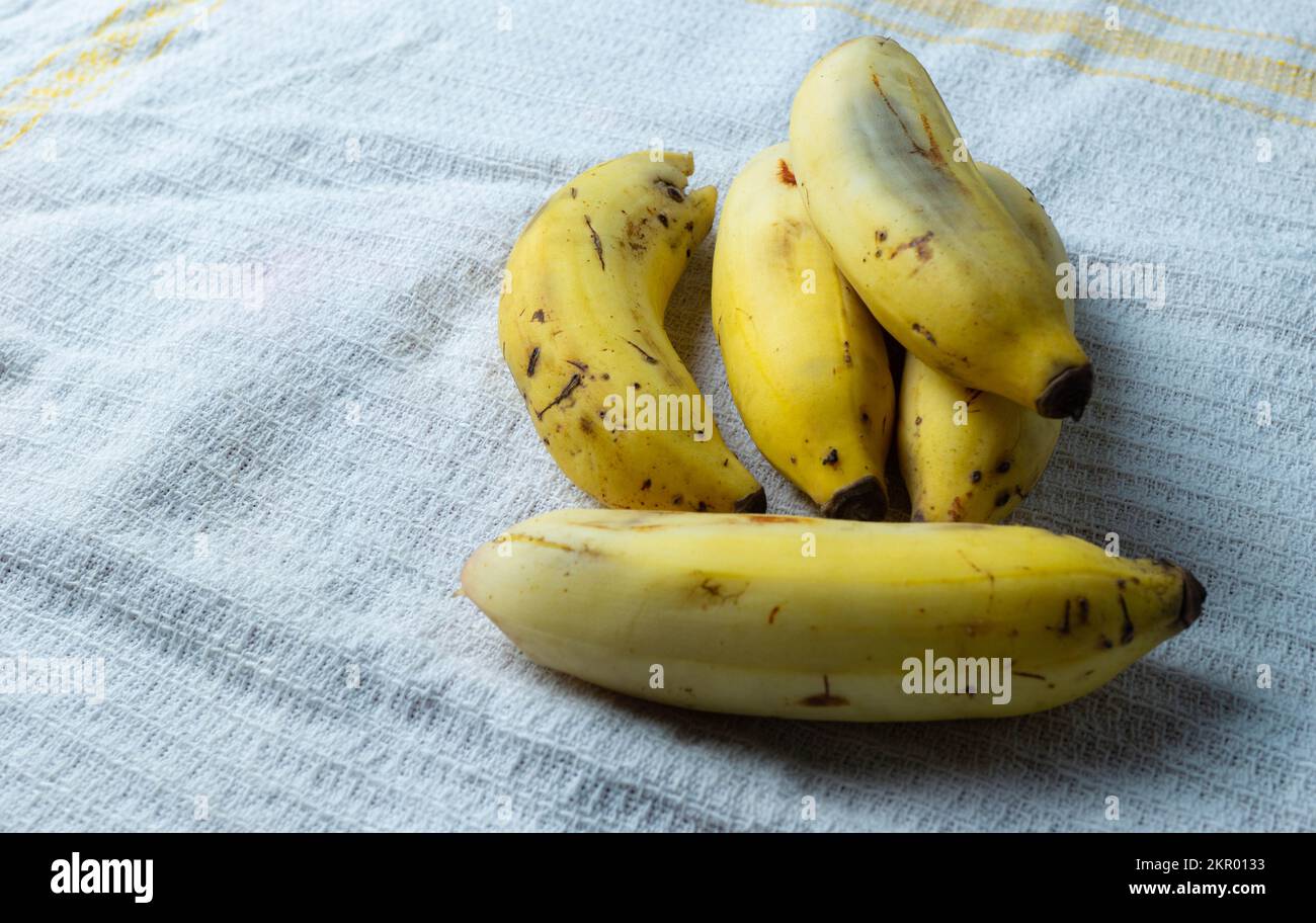 Manzana bananas (apple bananas) on a white linen cloths with faint stripes/ Stock Photo