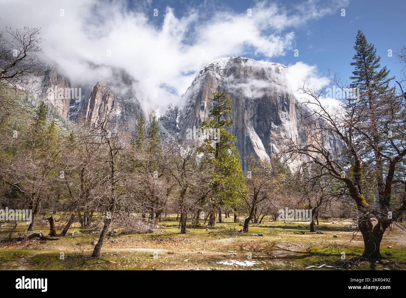 Yosemite Valley, El Capitan meadow with El Capitan in the background. Yosemite National Park Stock Photo