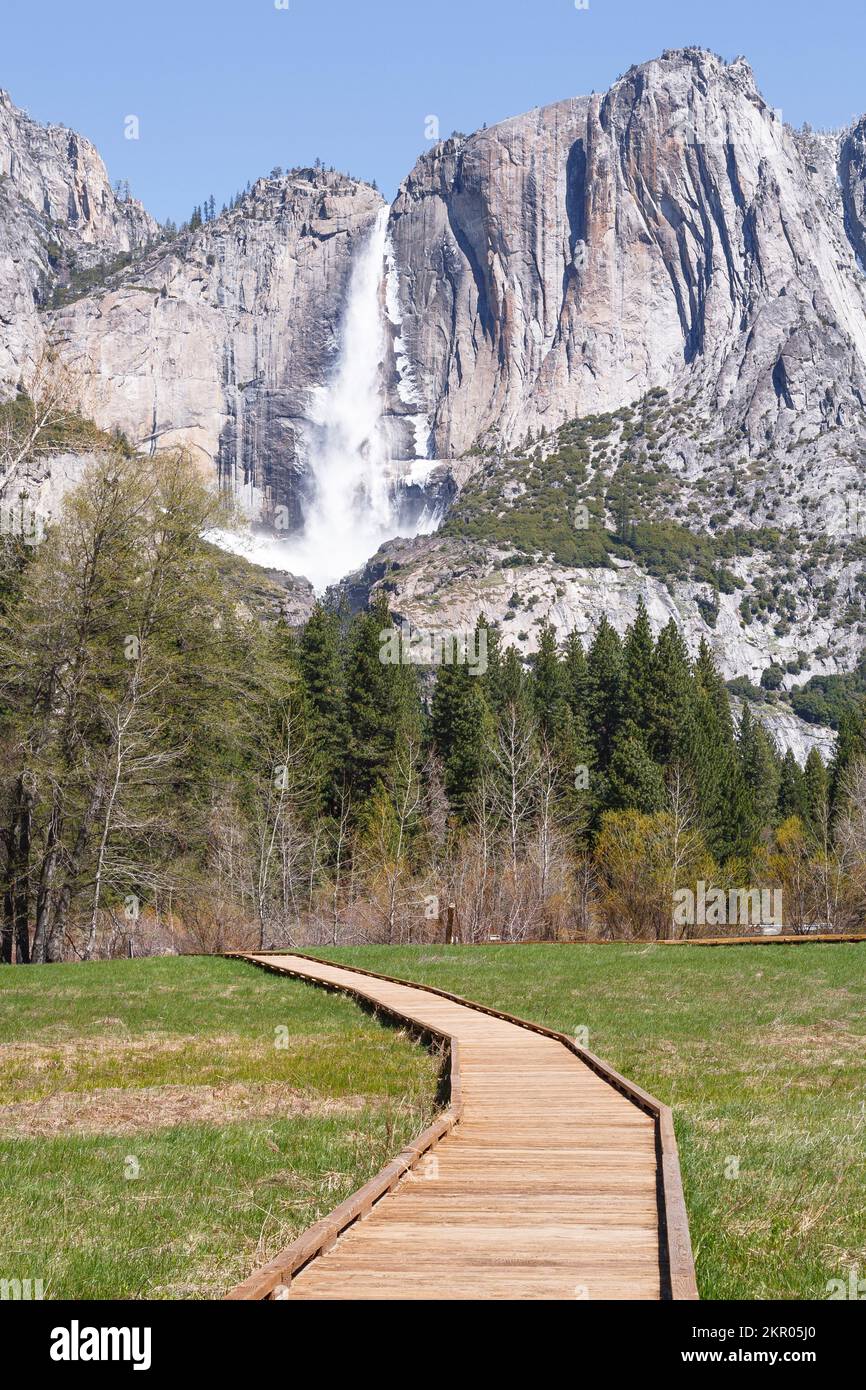 Yosemite Valley with wooden walkway boardwalk. Yosemite Falls in the background. Yosemite National Park, California, USA Stock Photo