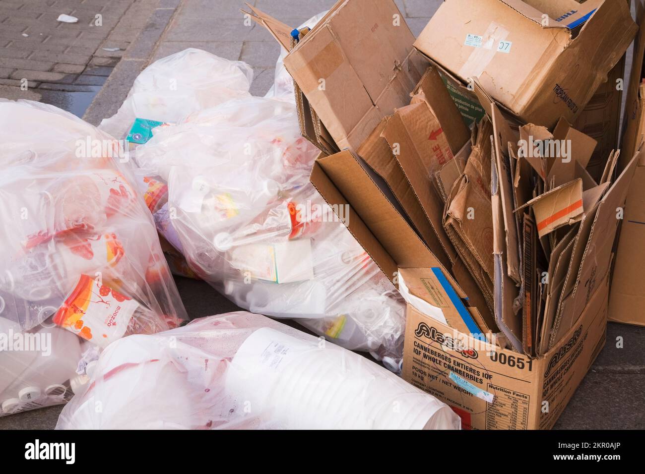Cardboard boxes and plastic bags on city sidewalk ready to be picked up for  recycling, Old Montreal, Quebec, Canada Stock Photo - Alamy