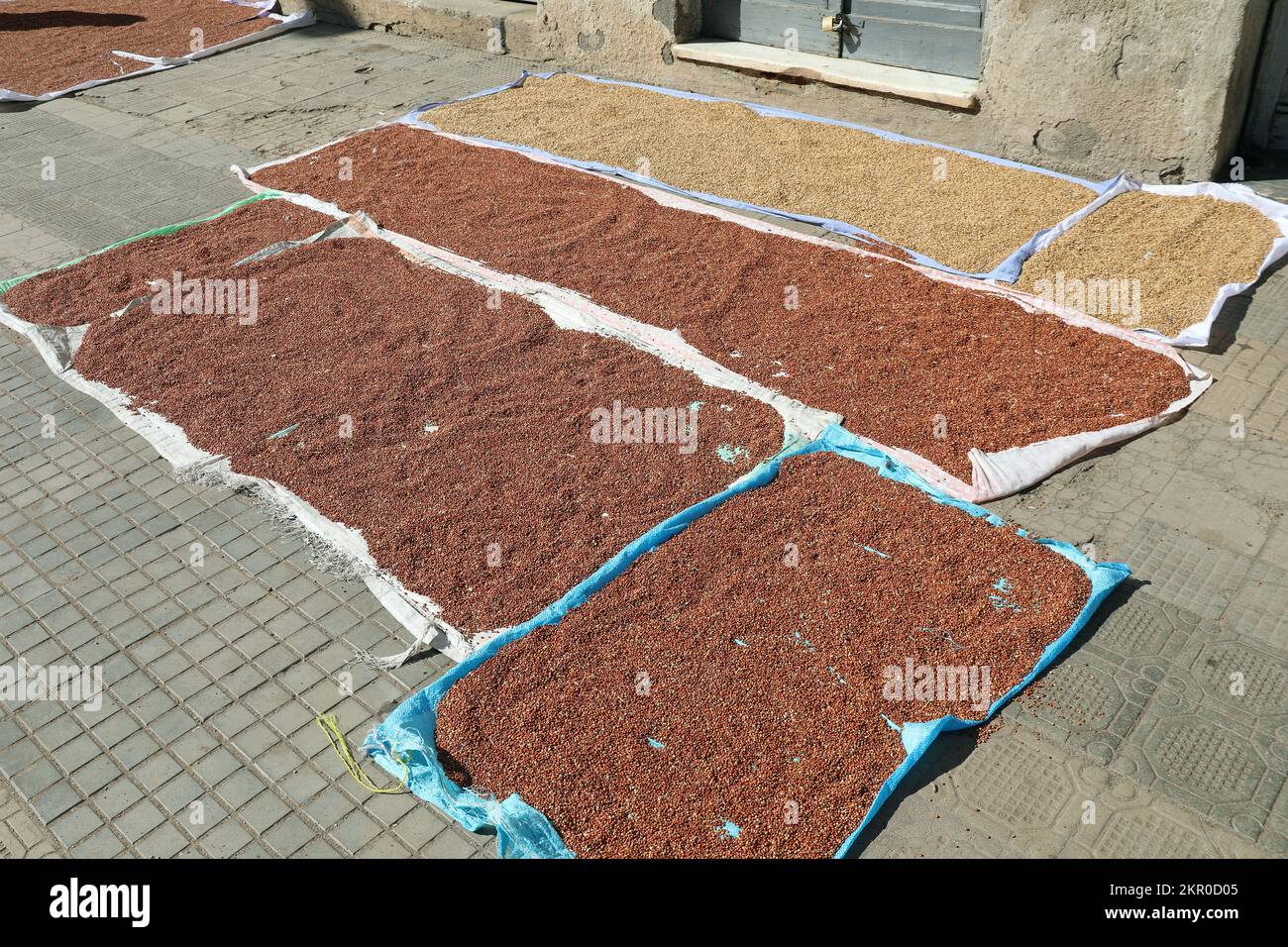 Teff seeds which are used to make injera drying on the pavement in Asmara Stock Photo