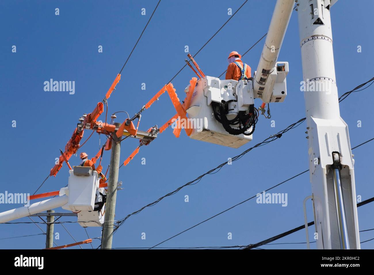 Electrical power company work crews reparing domestic power lines