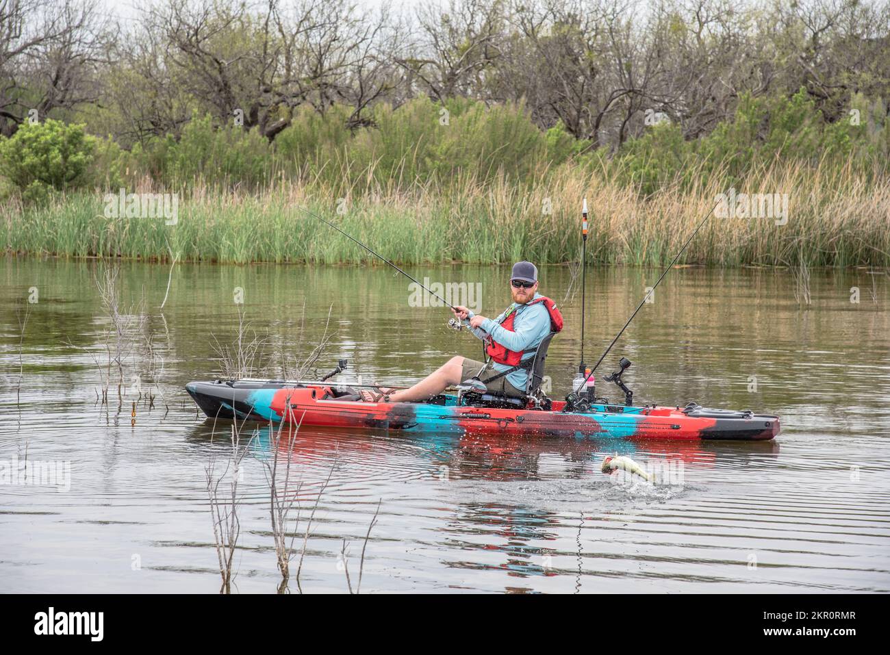 Catching a bass in the sticks on Possum Kingdom Lake Stock Photo