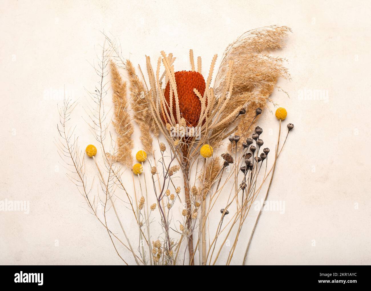 Dried flowers on white background Stock Photo - Alamy