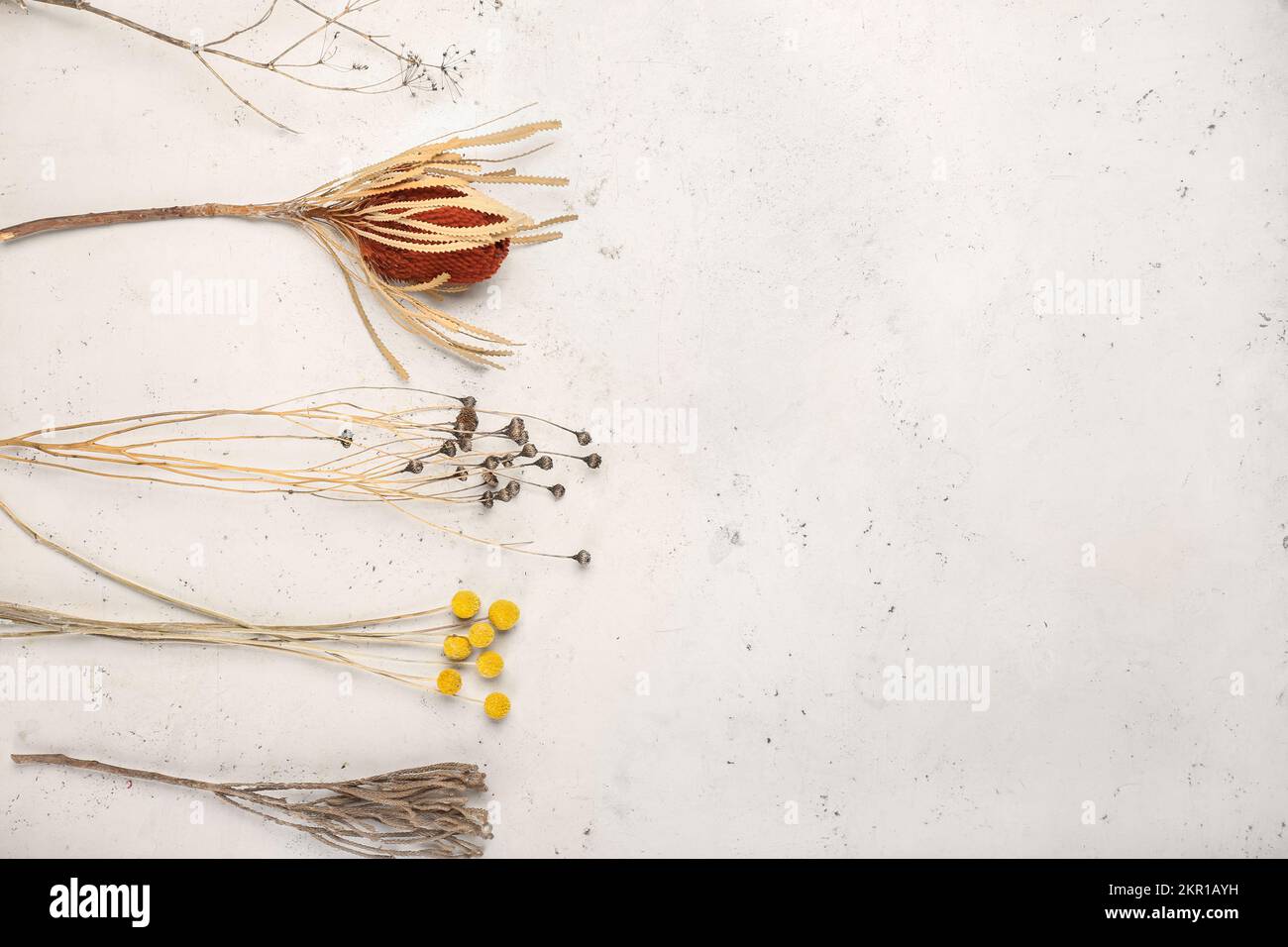 Different dried flowers on white background Stock Photo - Alamy