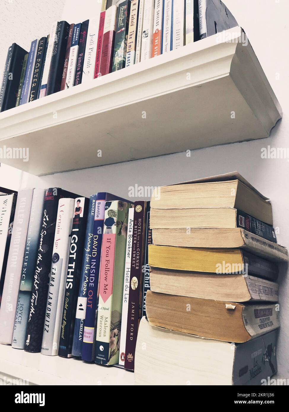 Bookshelves filled with hardback and paperback books, 2022, United States Stock Photo