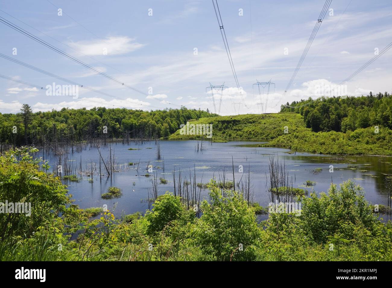 Electricity transmission towers with cables over flooded fresh water